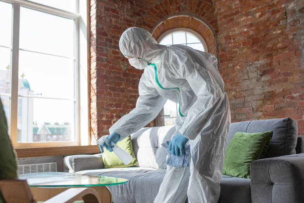 Sleepy Hollow, CA Mold Removal & Remediation Company